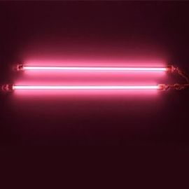 Pink / Orange / Purple Straight Water Resistant Neon Fluorescent Light Tubes 220V ~ 240V